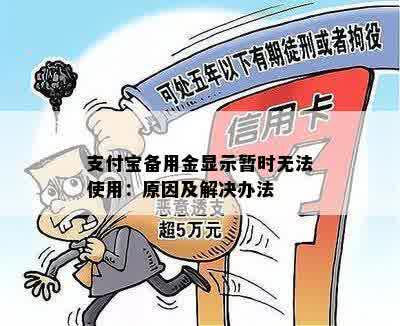 支付宝备用金显示暂时无法使用：原因及解决办法