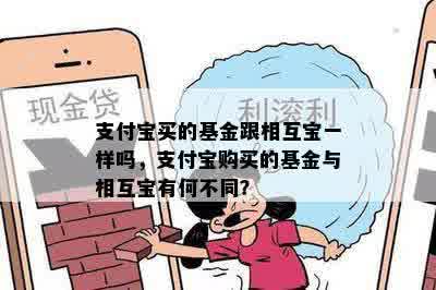 支付宝买的基金跟相互宝一样吗，支付宝购买的基金与相互宝有何不同？