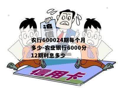 农行600024期每个月多少-农业银行6000分12期利息多少