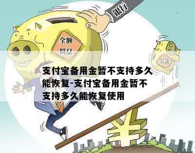 支付宝备用金暂不支持多久能恢复-支付宝备用金暂不支持多久能恢复使用