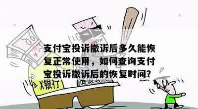 支付宝投诉撤诉后多久能恢复正常使用，如何查询支付宝投诉撤诉后的恢复时间？