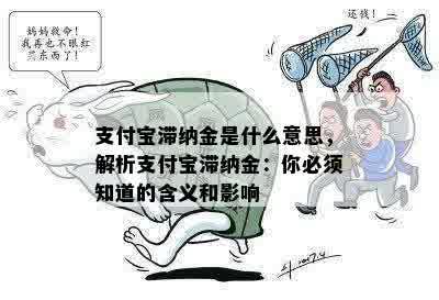 支付宝滞纳金是什么意思，解析支付宝滞纳金：你必须知道的含义和影响