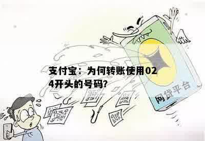 支付宝：为何转账使用024开头的号码？