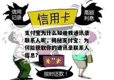 支付宝为什么知道我通讯录联系人呢，揭秘支付宝：为何能获取你的通讯录联系人信息？