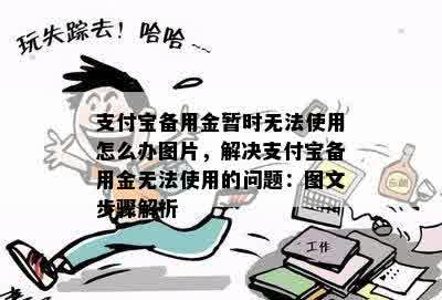 支付宝备用金暂时无法使用怎么办图片，解决支付宝备用金无法使用的问题：图文步骤解析