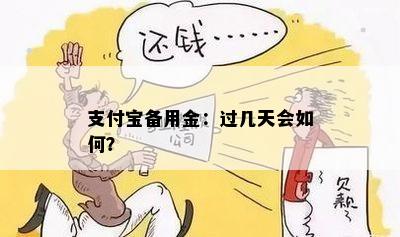 支付宝备用金：过几天会如何？