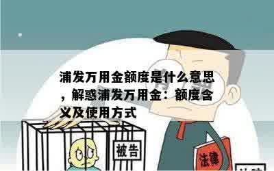 浦发万用金额度是什么意思，解惑浦发万用金：额度含义及使用方式