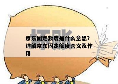 京东固定额度是什么意思？详解京东固定额度含义及作用