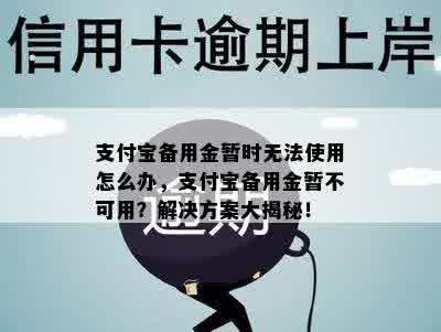 支付宝备用金暂时无法使用怎么办，支付宝备用金暂不可用？解决方案大揭秘！