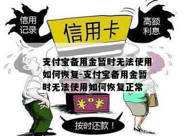 支付宝备用金暂时无法使用如何恢复-支付宝备用金暂时无法使用如何恢复正常