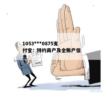 1053***0875支付宝：特约商户及全账户信息