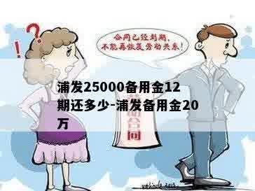 浦发25000备用金12期还多少-浦发备用金20万