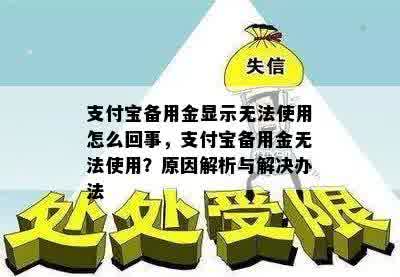 支付宝备用金显示无法使用怎么回事，支付宝备用金无法使用？原因解析与解决办法