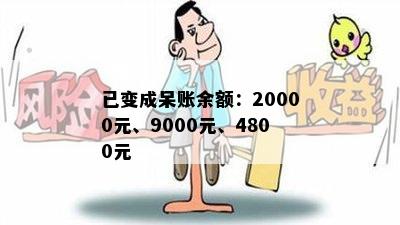 已变成呆账余额：20000元、9000元、4800元