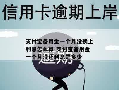 支付宝备用金一个月没换上利息怎么算-支付宝备用金一个月没还利息是多少