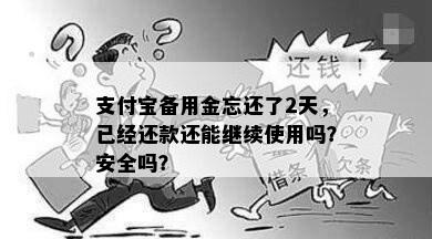 支付宝备用金忘还了2天，已经还款还能继续使用吗？安全吗？