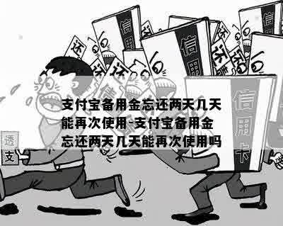 支付宝备用金忘还两天几天能再次使用-支付宝备用金忘还两天几天能再次使用吗