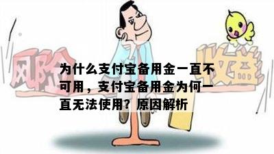 为什么支付宝备用金一直不可用，支付宝备用金为何一直无法使用？原因解析