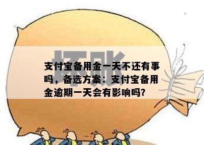 支付宝备用金一天不还有事吗，备选方案：支付宝备用金逾期一天会有影响吗？