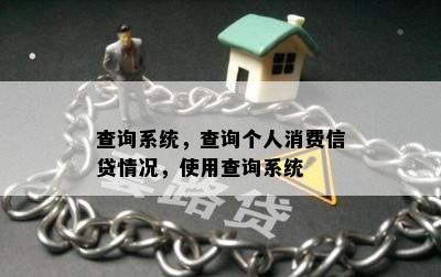 查询系统，查询个人消费信贷情况，使用查询系统