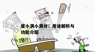 度小满小满分：用途解析与功能介绍