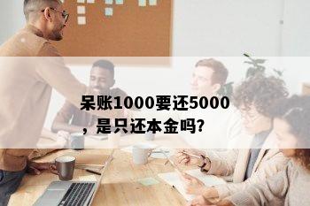 呆账1000要还5000，是只还本金吗？