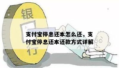 支付宝停息还本怎么还，支付宝停息还本还款方式详解