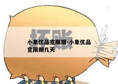 小象优品宽限期-小象优品宽限期几天