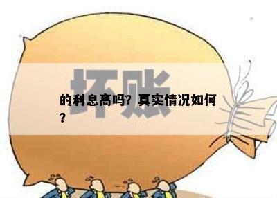 的利息高吗？真实情况如何？