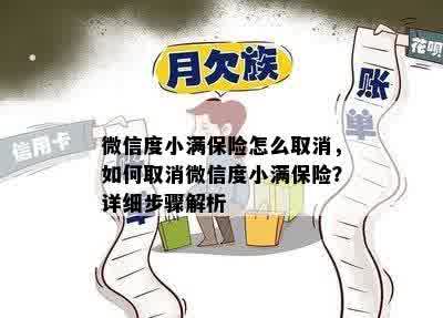 微信度小满保险怎么取消，如何取消微信度小满保险？详细步骤解析