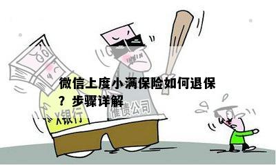 微信上度小满保险如何退保？步骤详解