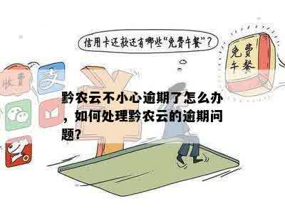 黔农云不小心逾期了怎么办，如何处理黔农云的逾期问题？