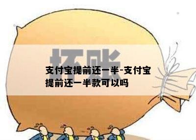 支付宝提前还一半-支付宝提前还一半款可以吗