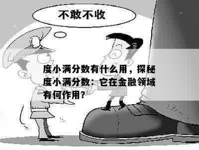 度小满分数有什么用，探秘度小满分数：它在金融领域有何作用？