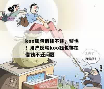 koo钱包借钱不还，警惕！用户反映koo钱包存在借钱不还问题