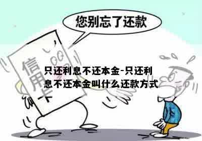 只还利息不还本金-只还利息不还本金叫什么还款方式