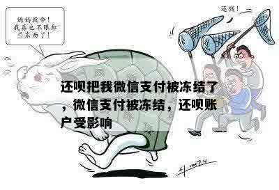 还呗把我微信支付被冻结了，微信支付被冻结，还呗账户受影响