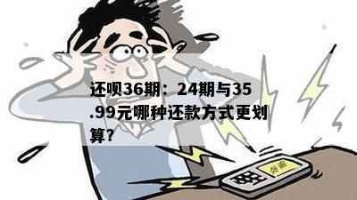 还呗36期：24期与35.99元哪种还款方式更划算？