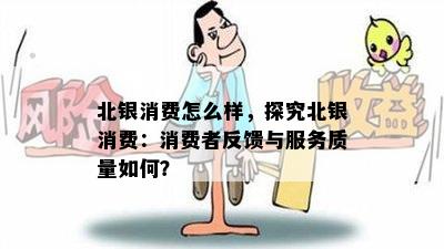 北银消费怎么样，探究北银消费：消费者反馈与服务质量如何？