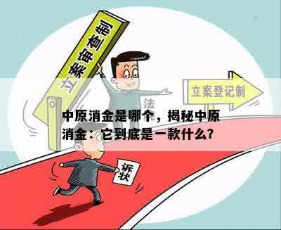 中原消金是哪个，揭秘中原消金：它到底是一款什么？