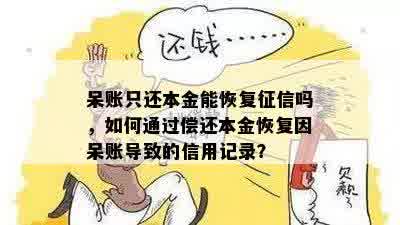 呆账只还本金能恢复征信吗，如何通过偿还本金恢复因呆账导致的信用记录？