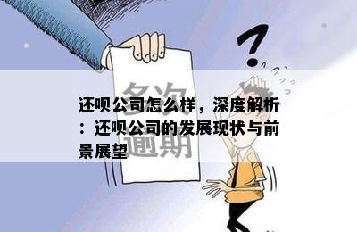 还呗公司怎么样，深度解析：还呗公司的发展现状与前景展望