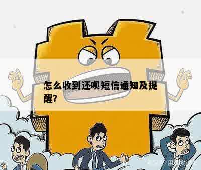 怎么收到还呗短信通知及提醒？