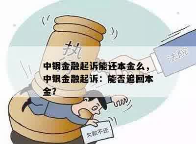 中银金融起诉能还本金么，中银金融起诉：能否追回本金？