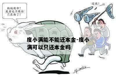 度小满能不能还本金-度小满可以只还本金吗