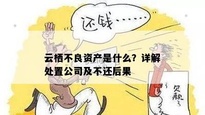 云栖不良资产是什么？详解处置公司及不还后果