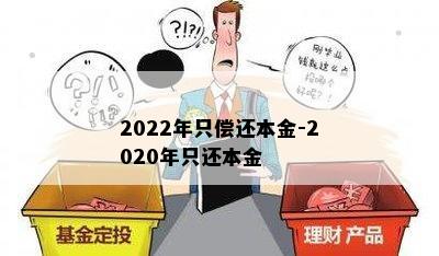 2022年只偿还本金-2020年只还本金