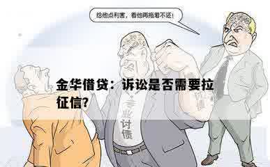 金华借贷：诉讼是否需要拉征信？