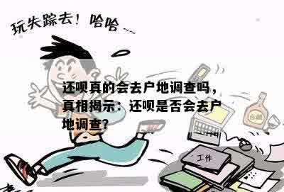 还呗真的会去户地调查吗，真相揭示：还呗是否会去户地调查？