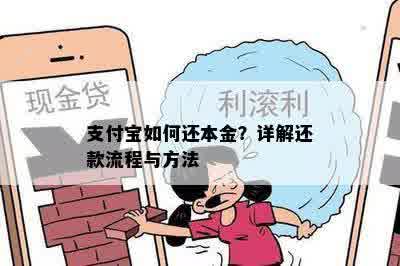 支付宝如何还本金？详解还款流程与方法